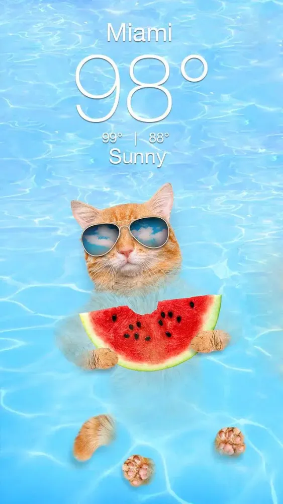 Weather Kitty سکرین شاٹس