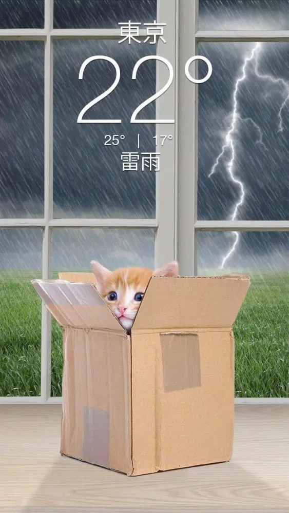 Weather Kitty سکرین شاٹس