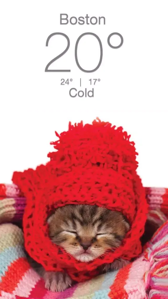 Weather Kitty سکرین شاٹس