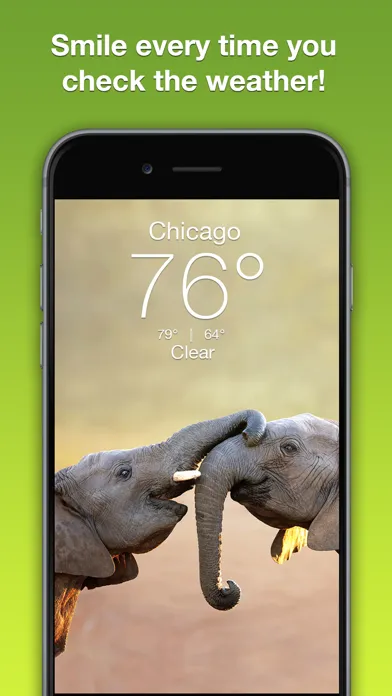 Wildlife Wallpaper Weather سکرین شاٹس