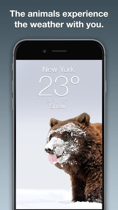 Wildlife Wallpaper Weather سکرین شاٹس