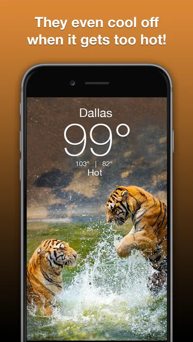 Wildlife Wallpaper Weather سکرین شاٹس
