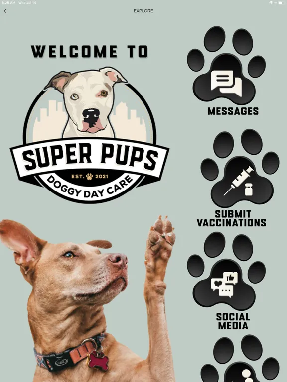Super Pups Daycare iPad  Screenshots