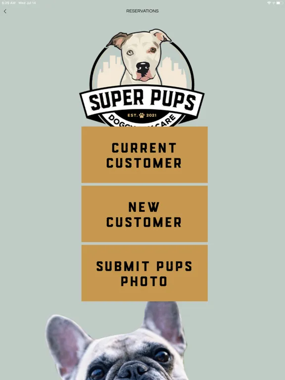Super Pups Daycare iPad  Screenshots