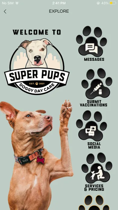 Super Pups Daycare Screenshots