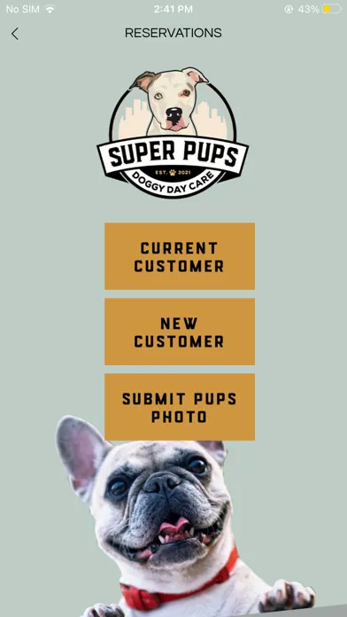 Super Pups Daycare Screenshots