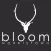 Bloom Morristown Team App