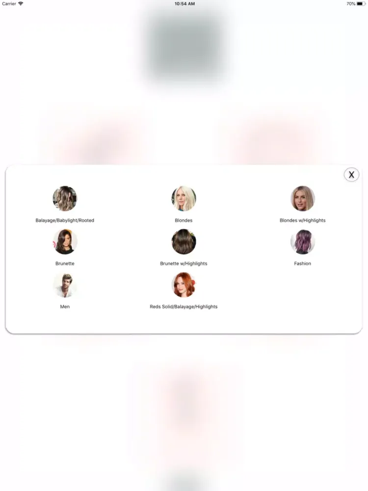 Charles Ifergan Lookbook iPad  سکرین شاٹس