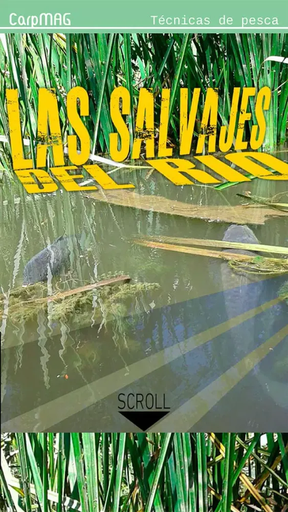 CarpMAG Ekran Görüntüleri