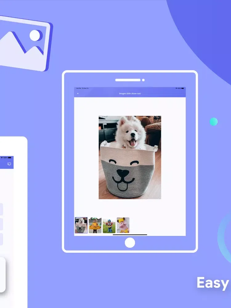 Web Cast Video | Browser to TV iPad 应用截图