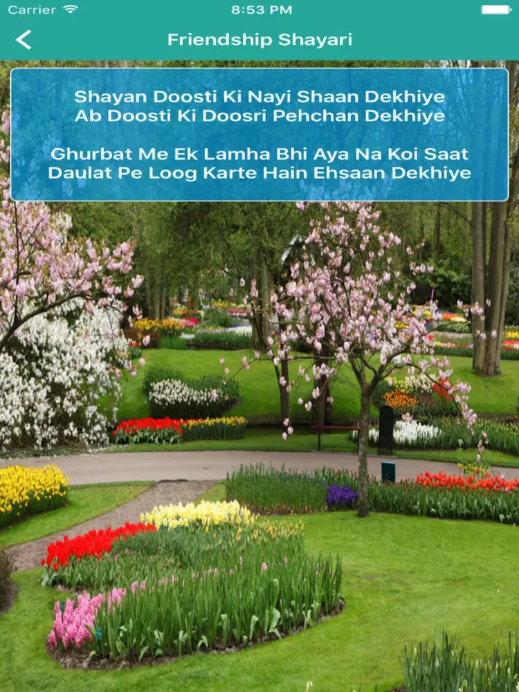 Shayan Ghulami iPad  스크린샷