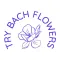 Try Bach Flowers