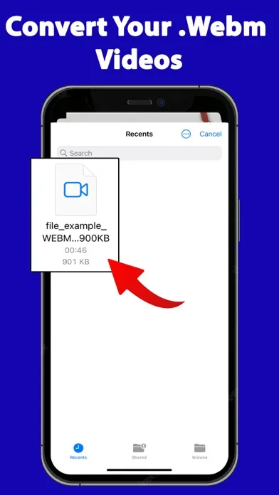 Webm Video Reader MP4 Convert Screenshots