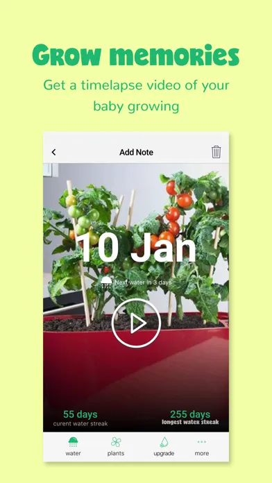 صور Happy Plant - No Water Thirst