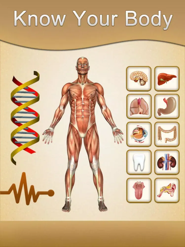 Ảnh chụp màn hình của Know Your Body iPad 