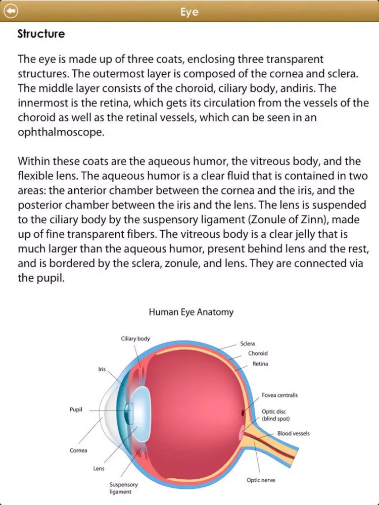 Ảnh chụp màn hình của Know Your Body iPad 