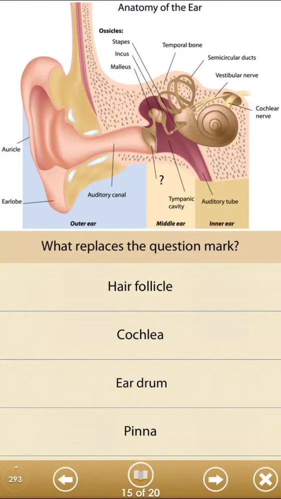 Ảnh chụp màn hình của Know Your Body