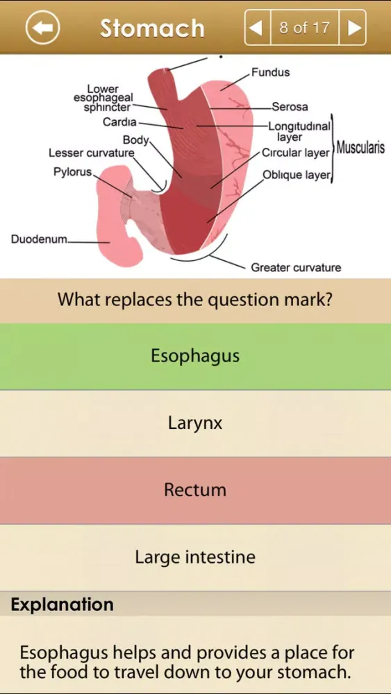Ảnh chụp màn hình của Know Your Body