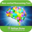 11+ Non-verbal Reasoning Lite 11+ Non-verbal Reasoning Lite