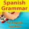 Spanish Grammar for English Speakers Lite