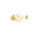 Golden Fish bh