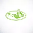 Pizza Picasso