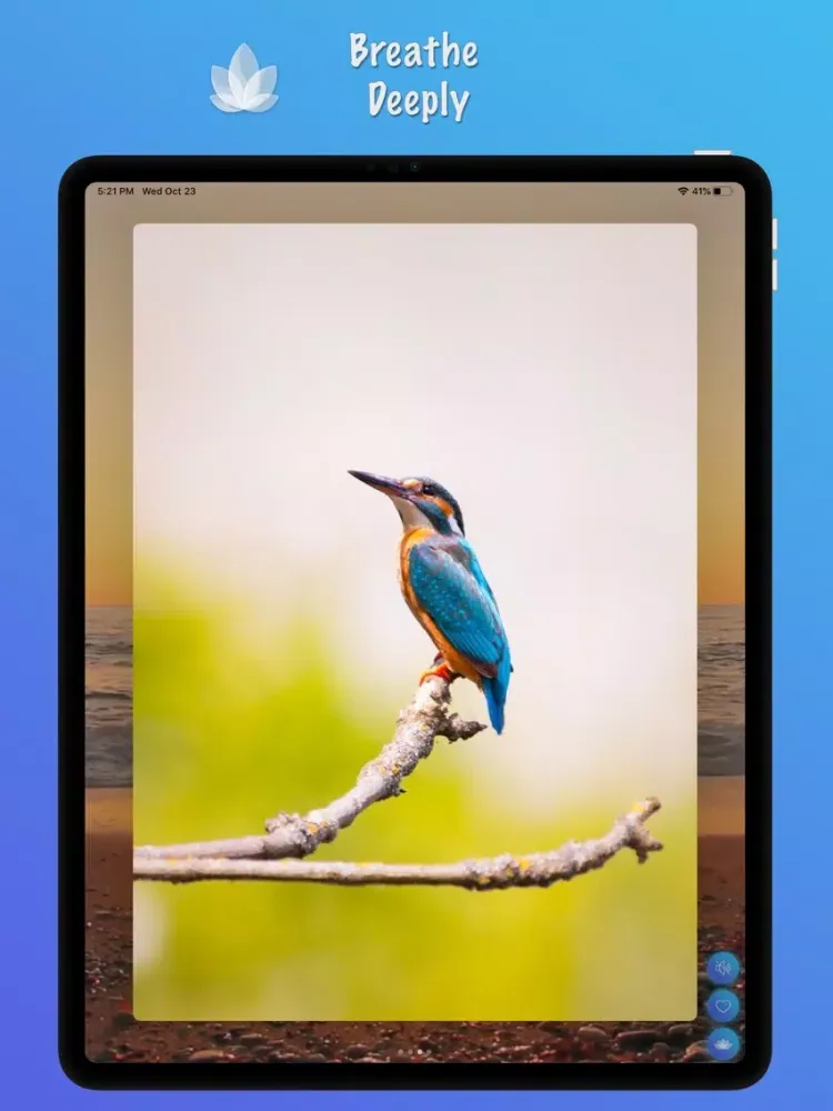 Calmest : Meditate,Sleep,Relax iPad  स्क्रीनशॉट
