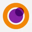 Neuro-Ophtalmologie Pratique