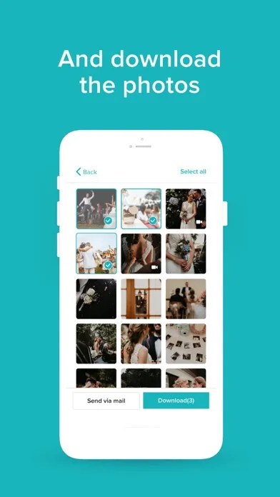 تصاویر WeddingWire for Guests