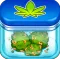 Weed Shop Tycoon