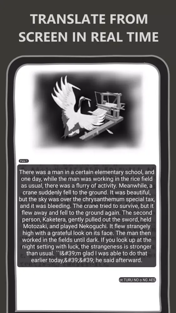 RealTime Screen Translator Screenshots