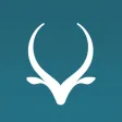 Antilope Antilope