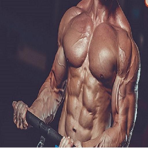Muscle Builder