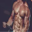 Muscle Builder