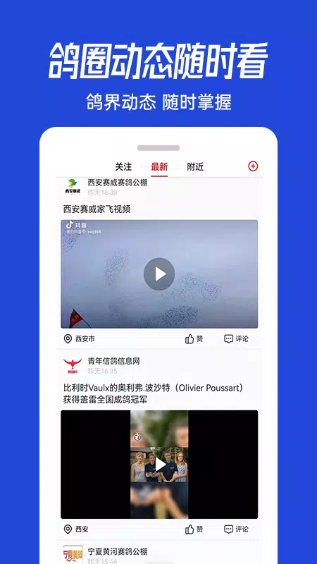青鸽网的應用截圖3