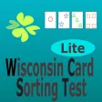 Wisconsin Card Sorting Test J