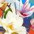 The Stillwater Flowers Mural
