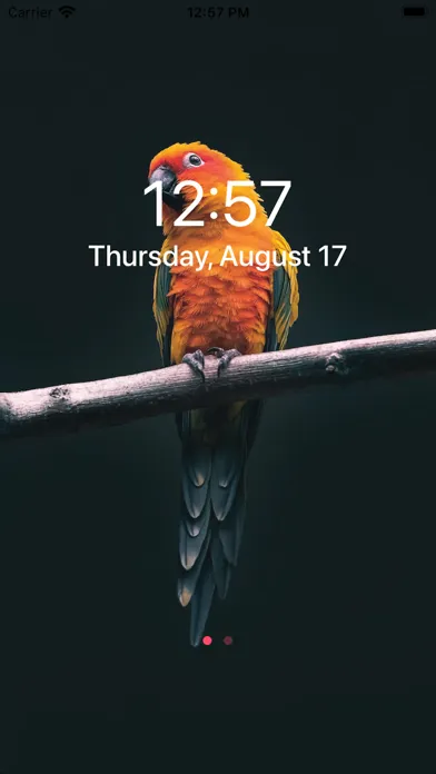 iWallBarry - Cool Wallpaper HD应用截图