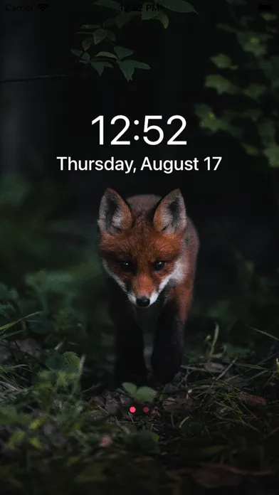 iWallBarry - Cool Wallpaper HD应用截图