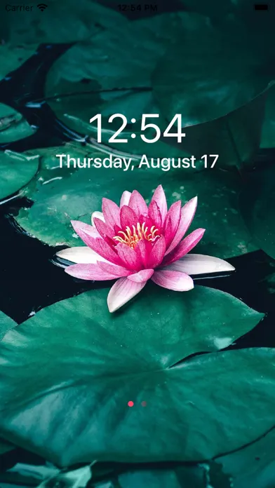 iWallBarry - Cool Wallpaper HD应用截图