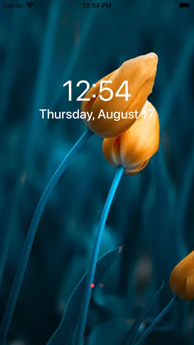 iWallBarry - Cool Wallpaper HD应用截图