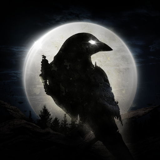 NIGHT CROWS NIGHT CROWS