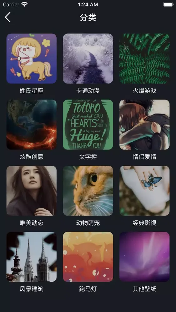 主题壁纸 动态壁纸-动态高清手机壁纸 스크린샷