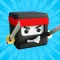 Ninja Dash Puzzle