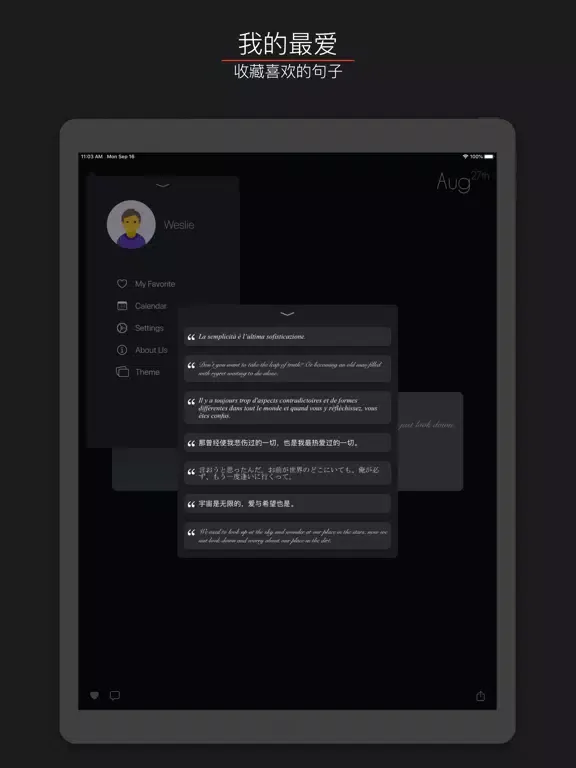 简 · 阅 - Simple Reader iPad  স্ক্রিনশট