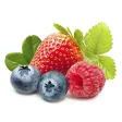 FoodStudy