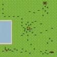 Ants Life