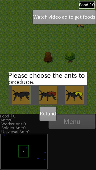 صور Ants Life