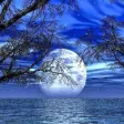 52 Best Sleep Tips