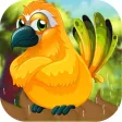 Avoid the Birdy Bird Poop Avoid the Birdy Bird Poop
